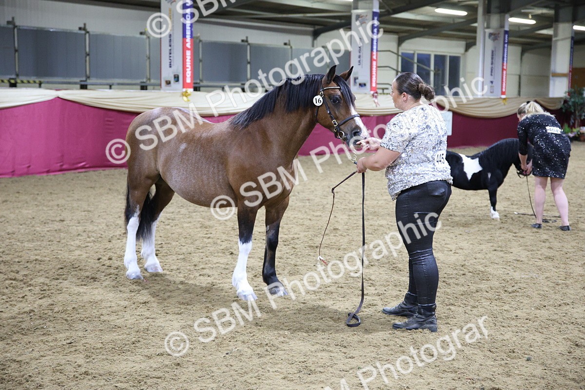 5K7A1549 - Class N M&M Champ