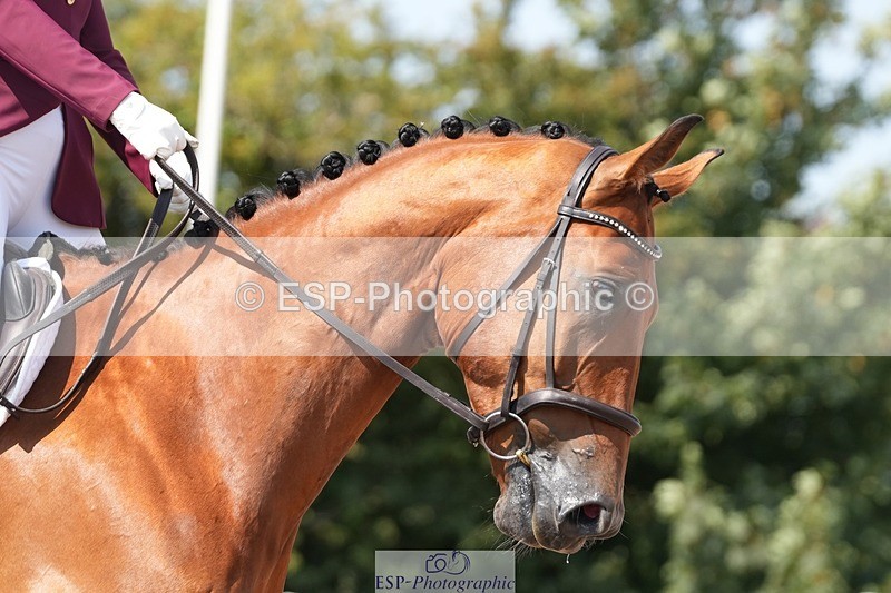 250817-131221-09608 - 170-Tilly.DimondOrm