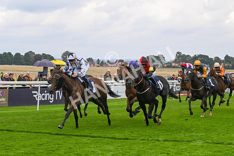 240924-Race 3-Nala Star-6114 - Race 3