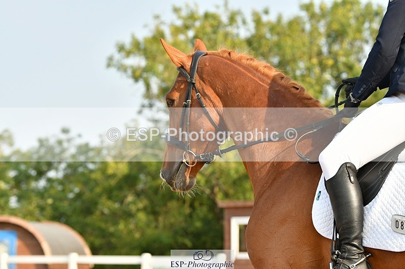 250817-090014-06719 - 080-Elizabeth.StoneZiggy