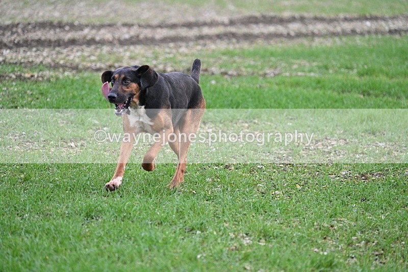 WJ7_0194 - Camera 1 & Last fence