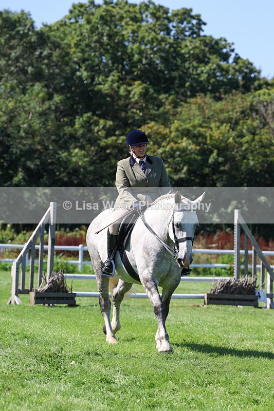 3E7A8262 - Class 4: Novice working Hunter
