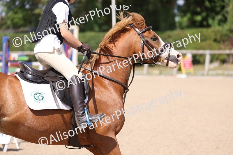 20250810-1193 - Class 3 - 60cm