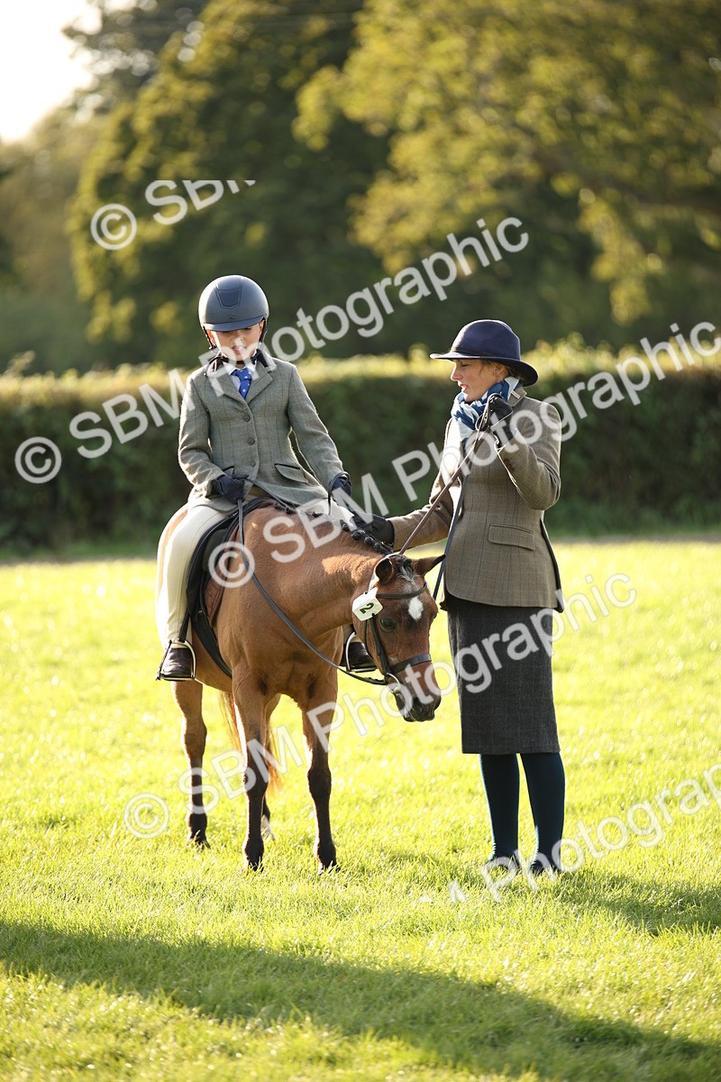 SBM_54400 - S27 - Mature Veteran - Ridden