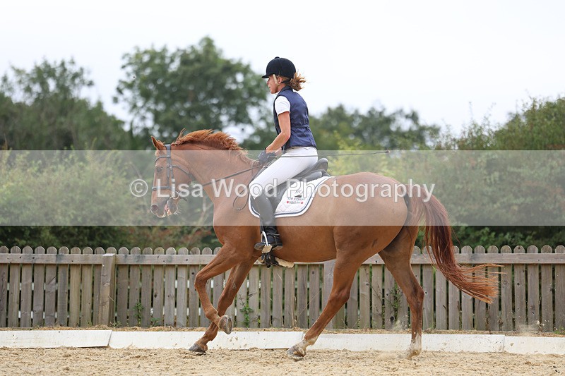 3E7A7218 - Class 9: Elementary 4 2024 - No sections