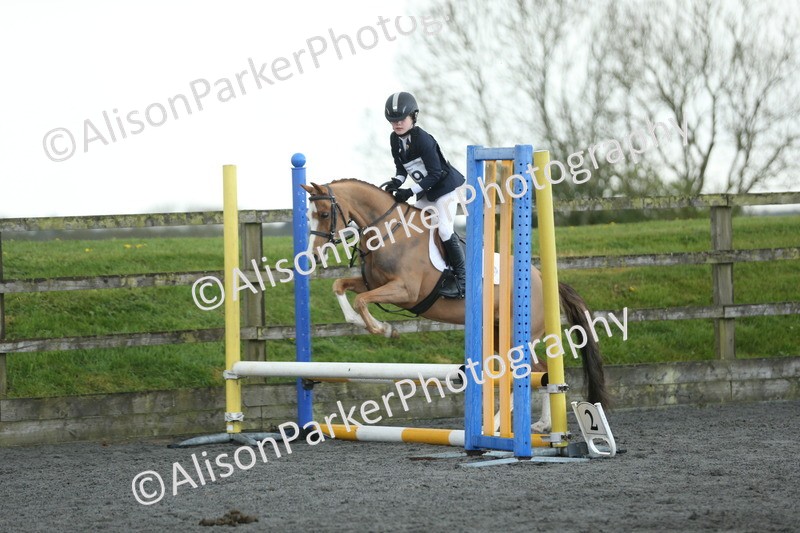 20260412-1916 - Show Jumping