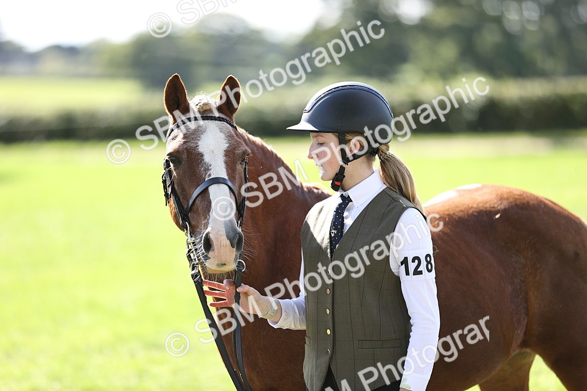 SBM_26207 - S5 - Novice & Newcomers In Hand