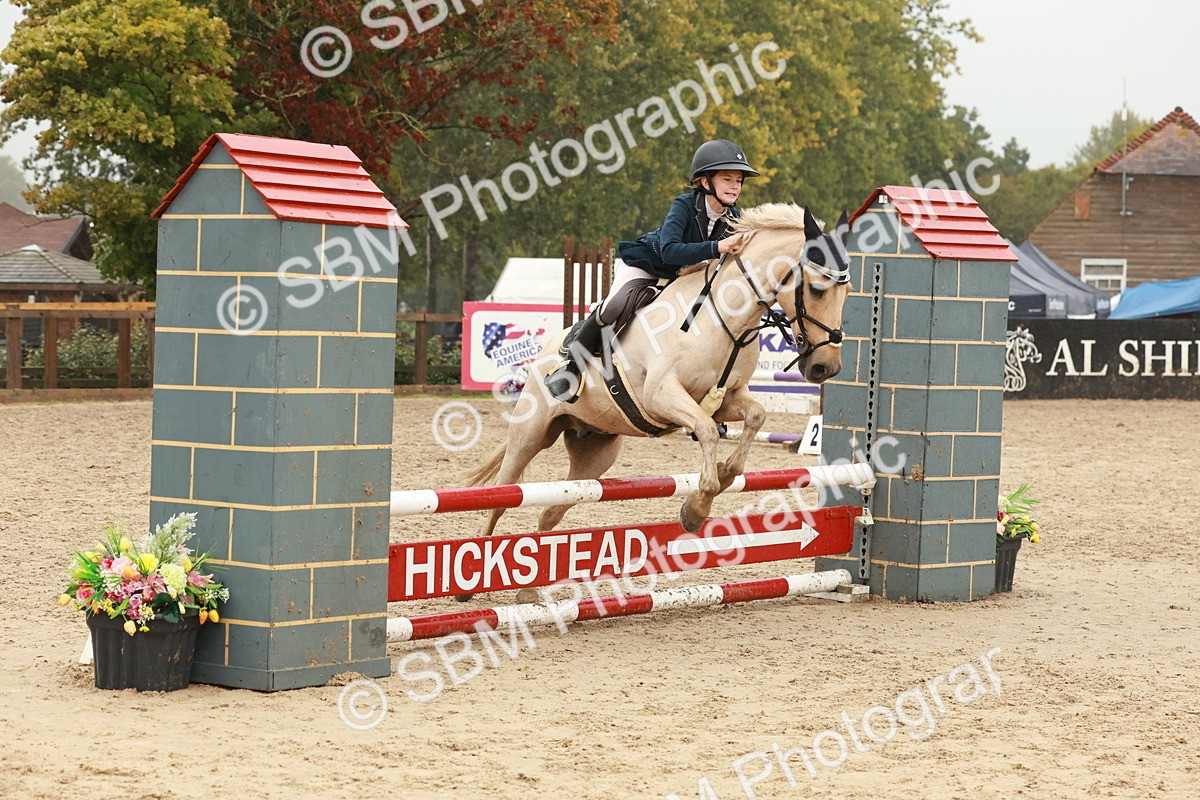 SBM_73309 - Supreme Championship Junior Pony 60cm & 65cm