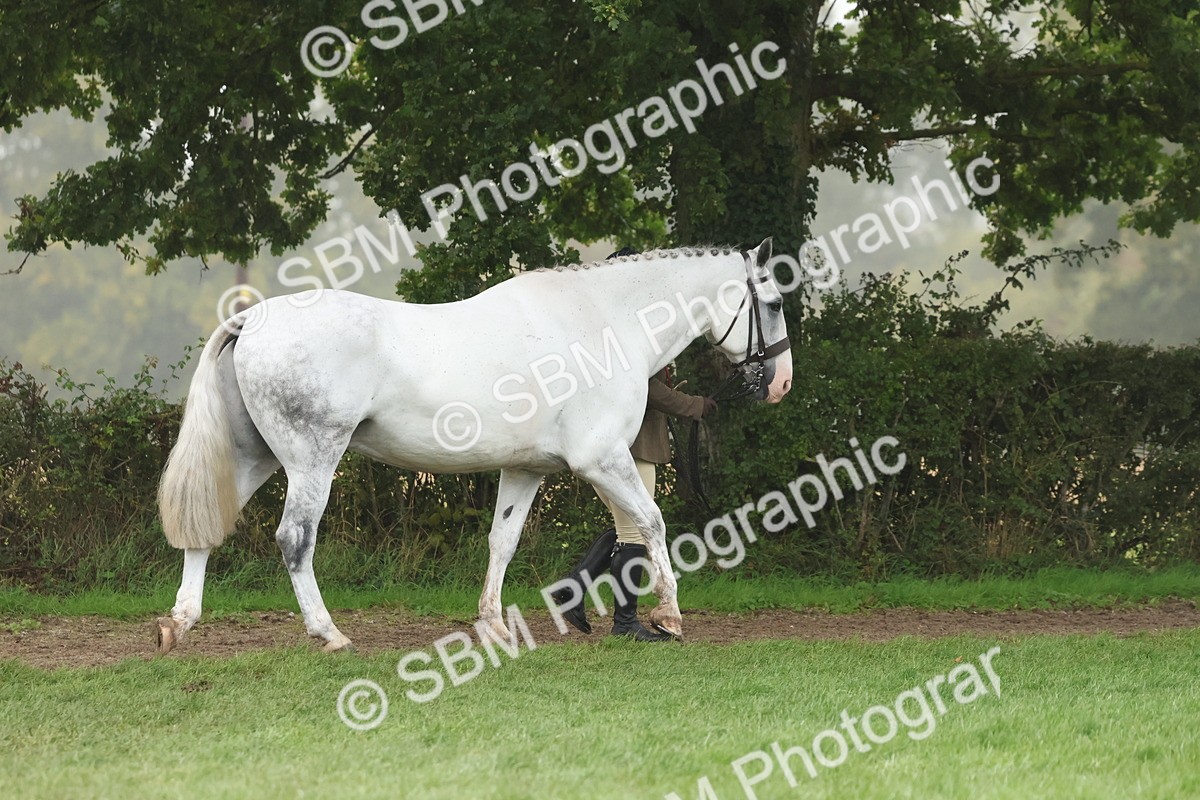 SBM_73181 - Super Supreme Championship(Sun)