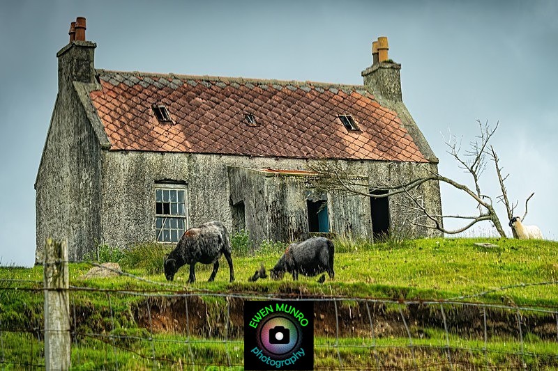 AD-30-Isle of Eriskay, Outer Hebrides - 'AGED'