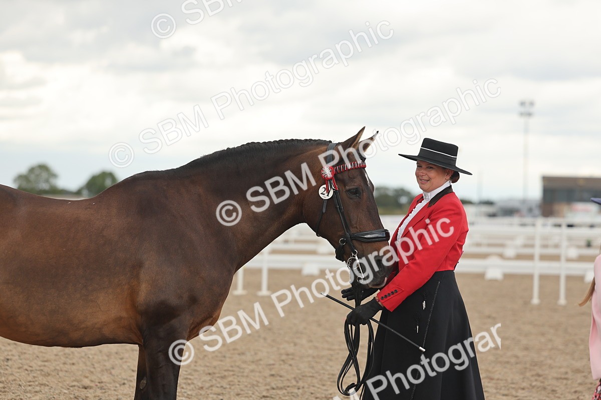 SBM_07643 - Class 26 - IH Foreign Breeds - Part Bred