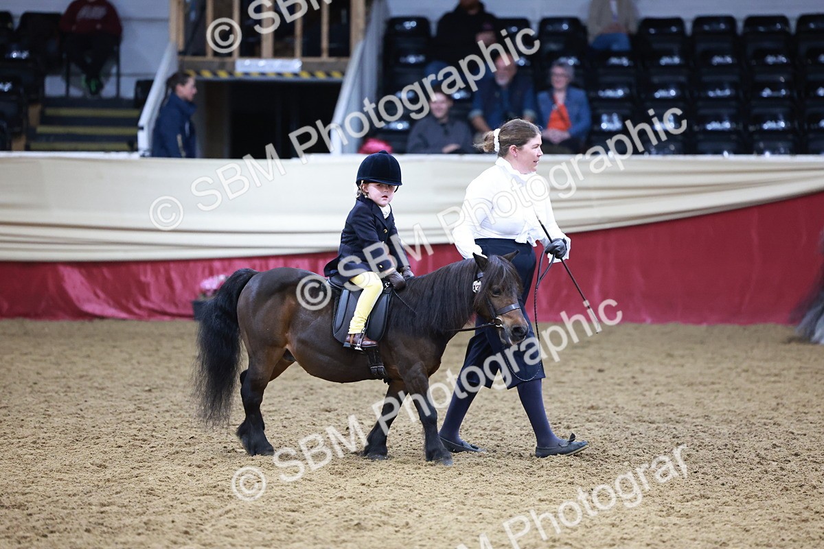 SBM_20117 - Class C - Novalty Champ