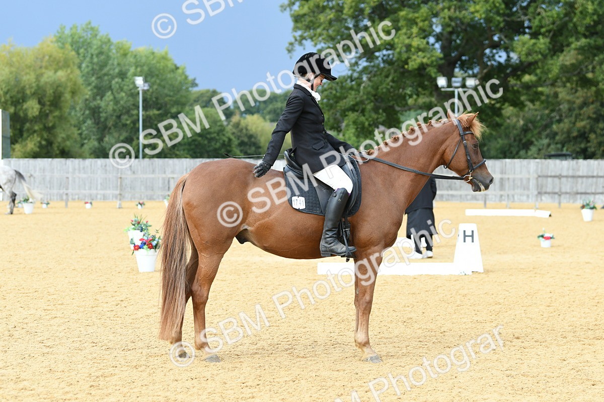 SBM_10985 - D28 Elementary Taster Elementary 42