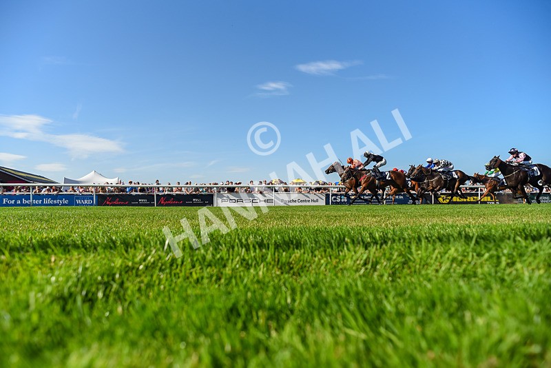 120826-Race 6-Rumble Ruby-6491 - Race 6 16.45pm Nation Radio Yorkshire Handicap