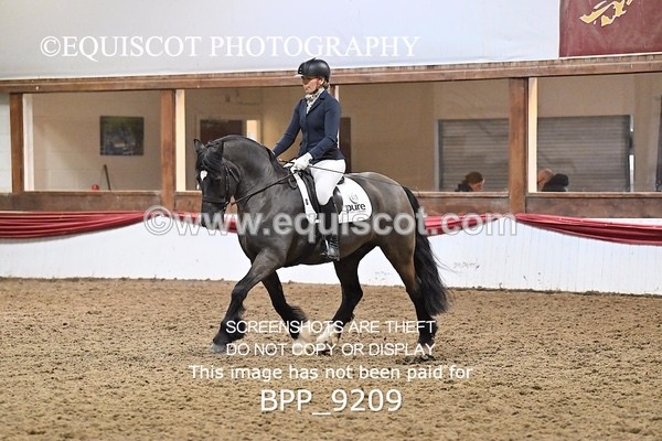 BPP_9209 - ELEM 6