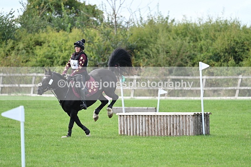 WJ7_8348 - 60cm Pairs