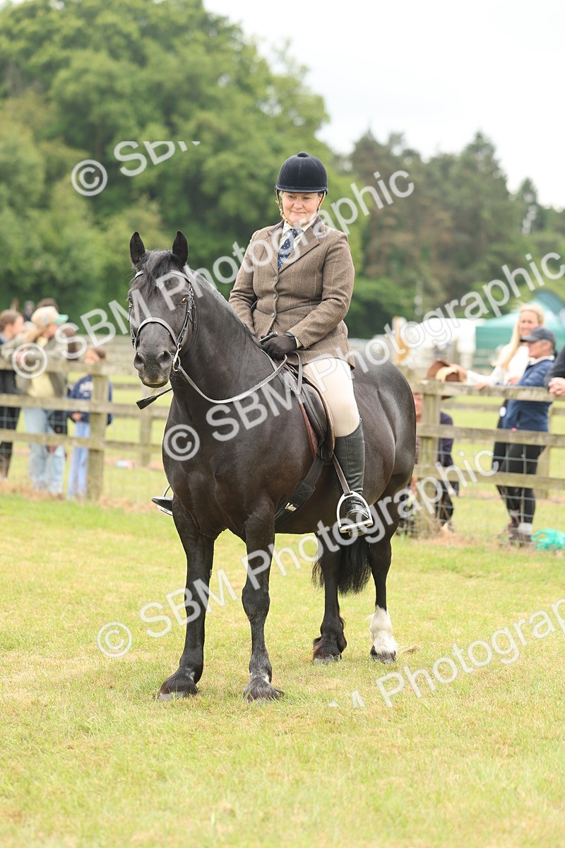 SBM_07239 - Class 76-77 - Ridden M&M Welsh Ponies