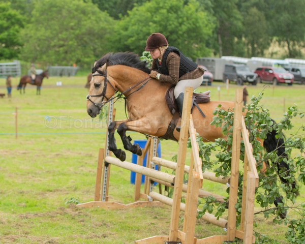 Dunblane show-528 - Dunblane and Doune Show Ring 1