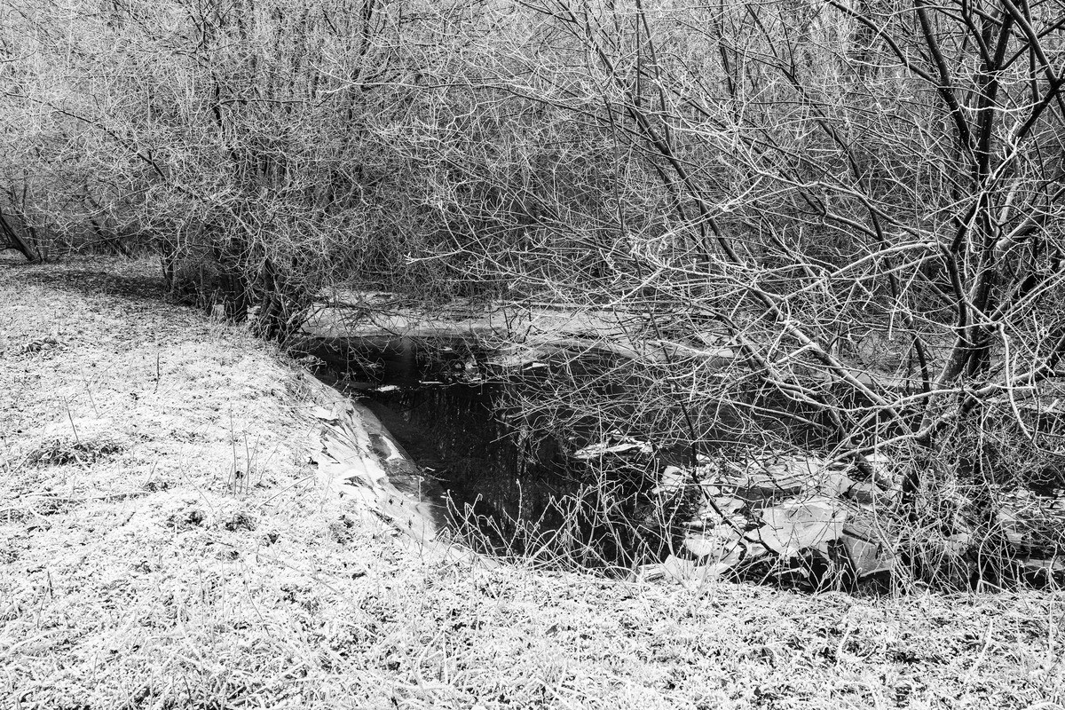 Frozen edges - WINTER