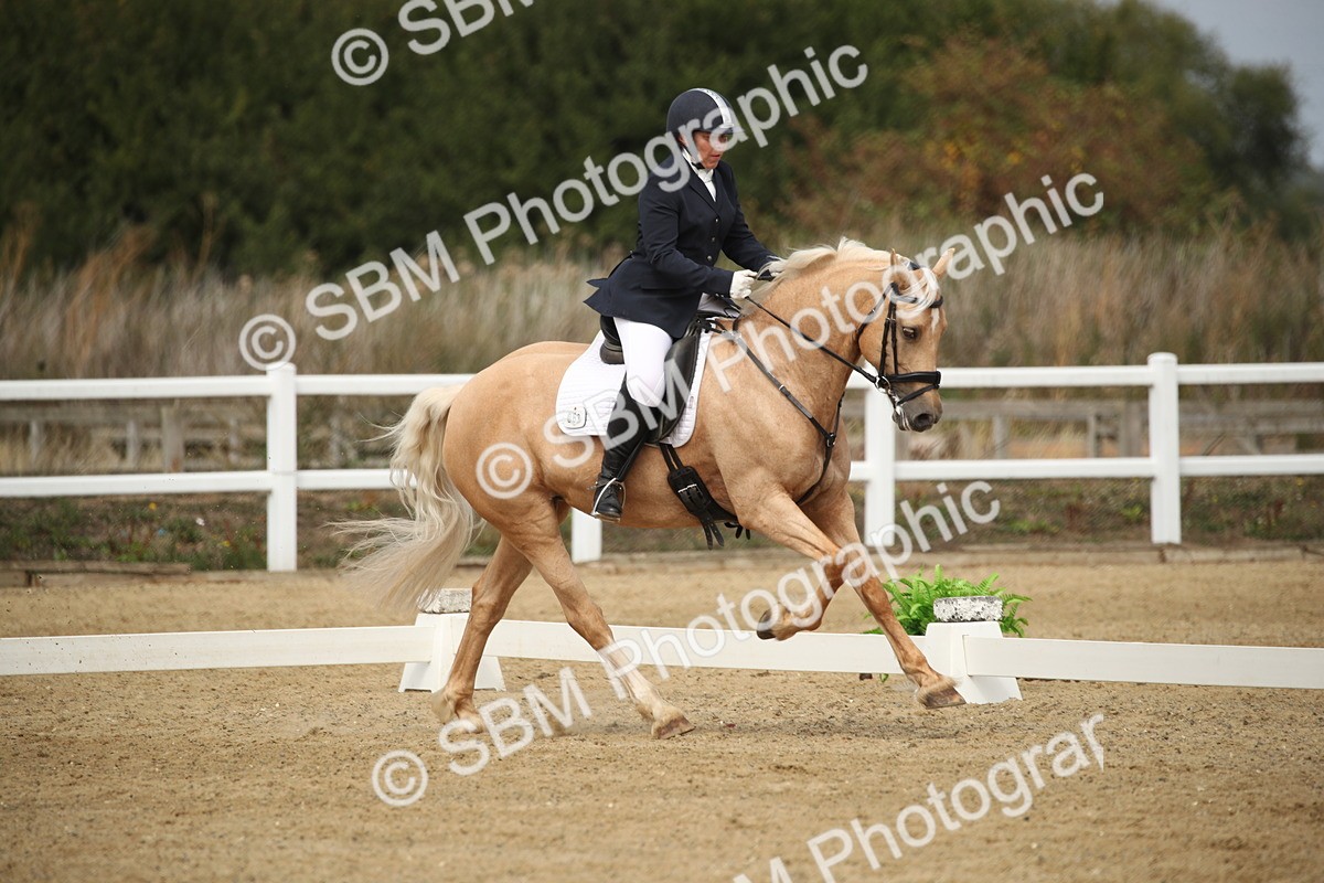 SBM_001365 - Class 2 - Pelim 5 - 11.36.12.32