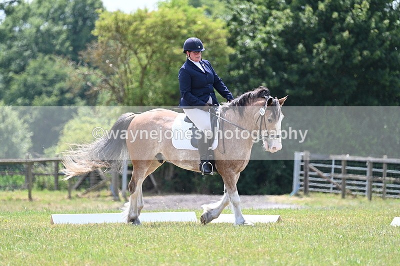 WJ7_8217 - Time 13:35 to 13:40