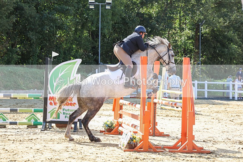 3E7A0787 - Class 4: Senior British Novice/90cm open