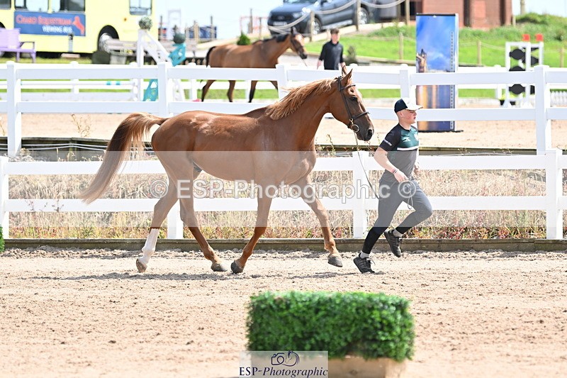 240717A-145858-02395 - Trot Up 2pm to 3pm - This folder is not in time order