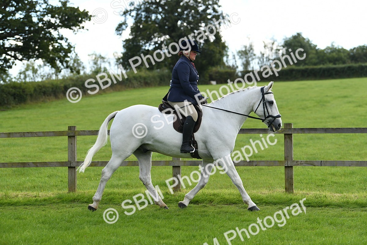 SBM_46751 - S12 - Family Horse & Pony