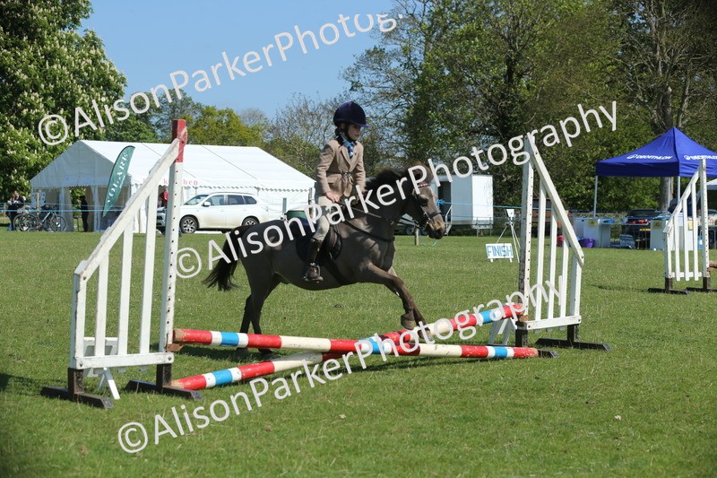 20250427-1931 - Class 2 - Mini Jumping 30cm