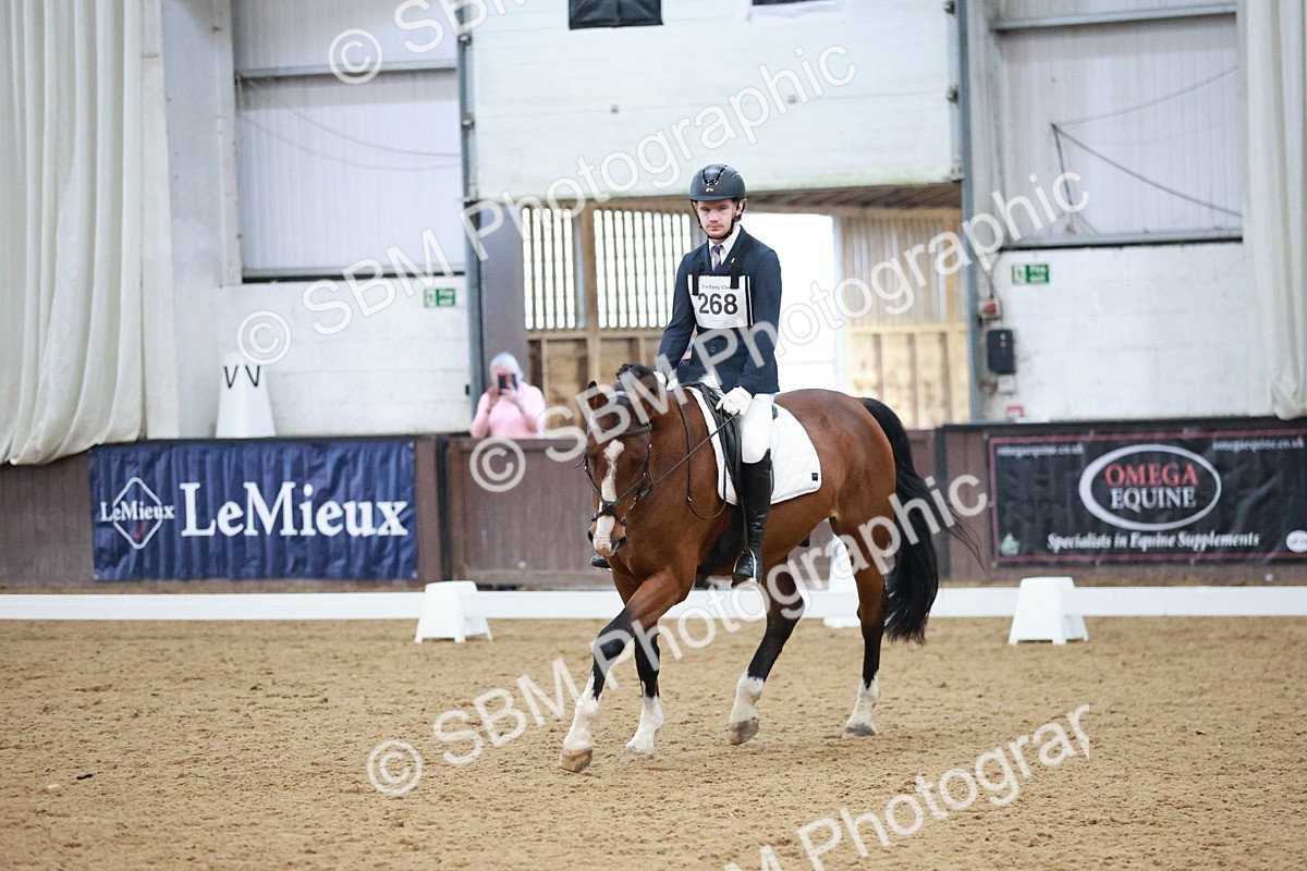 SBM_004673 - Ring 3 - International -  Working Hunter Classes 23-2-25
