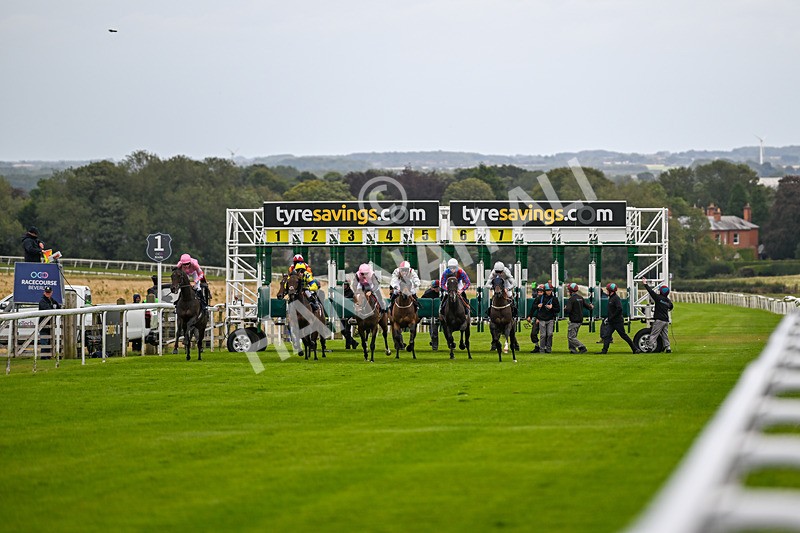 250824-Race 5-Lincoln Rockstar-3589 - Race 5