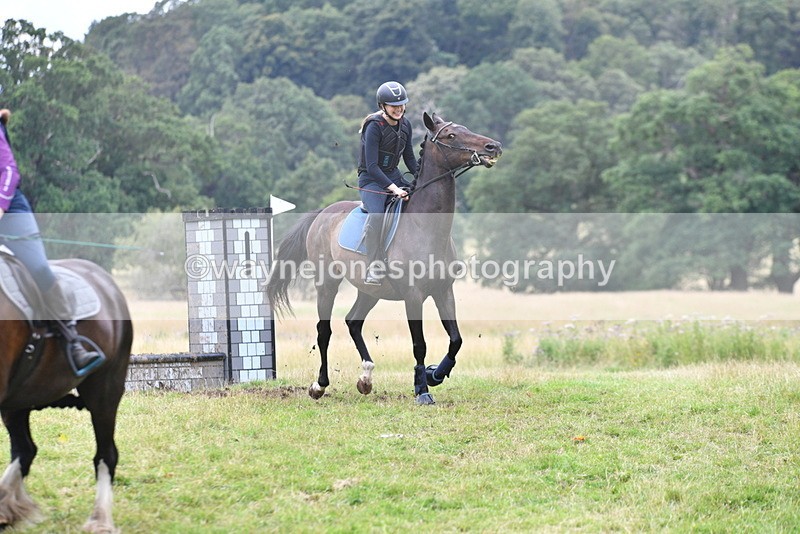 WJ5_3054 - Time at Jump 14:47 to 15:17