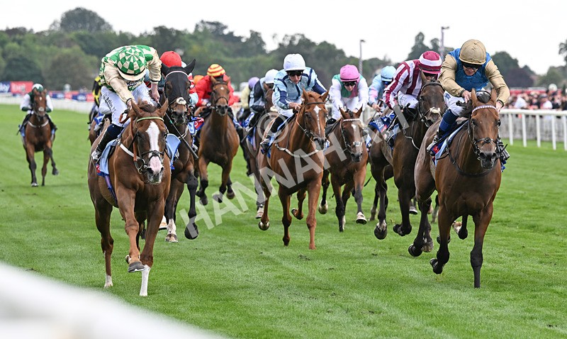 220826-141 Daiquiri Bay - Race 4 15.35pm Sky Bet Ebor Handicap