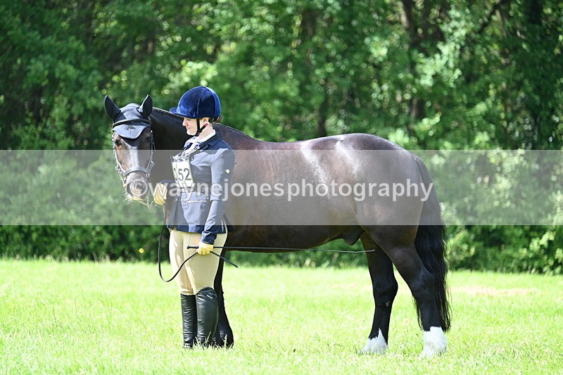 WJ7_1445 - Class 11 Condition & Turnout