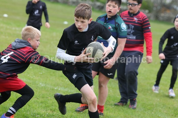 DAD22464 - Rookies/Mini Rugby on 7s Day