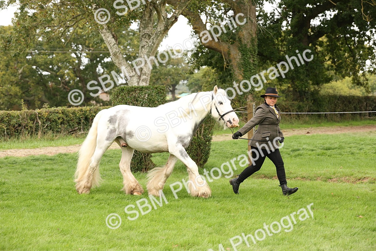 SBM_59262 - S57 - Traditional Cob In Hand