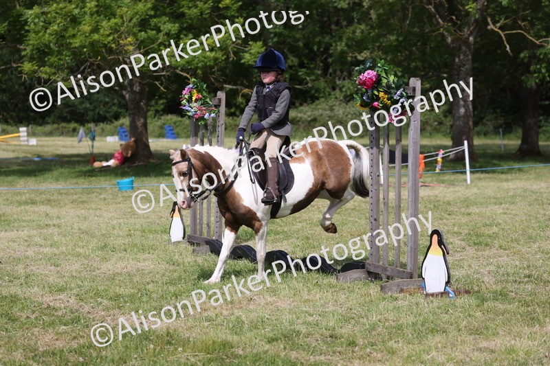 20260614-0690 - Class 20 - Beginners Working Hunter Pony
