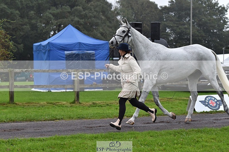 231018-120002-00028 - 003-BOB.CHAPLIN-Kate.Walls-TrotUp