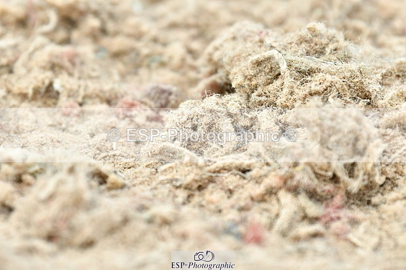 230702A-161232-11136 - Cls 37 + 42 FEI PSG + GP