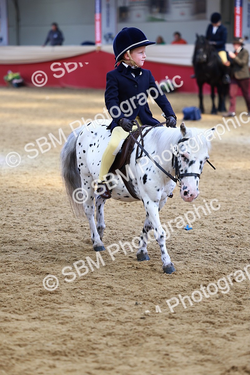 SBM_23857 - Class 905 - Supreme Final - Ridden Veteran