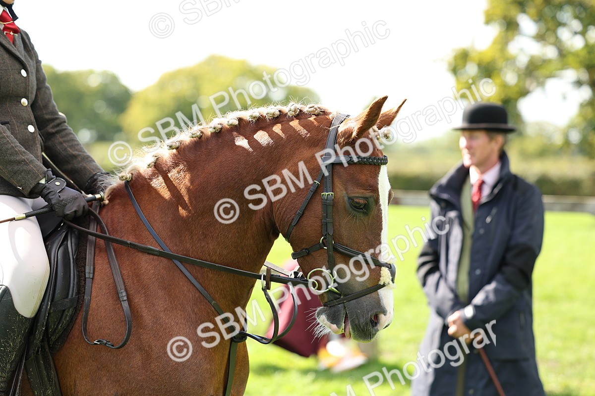 SBM_45422 - S33 - Working Hunter Pony