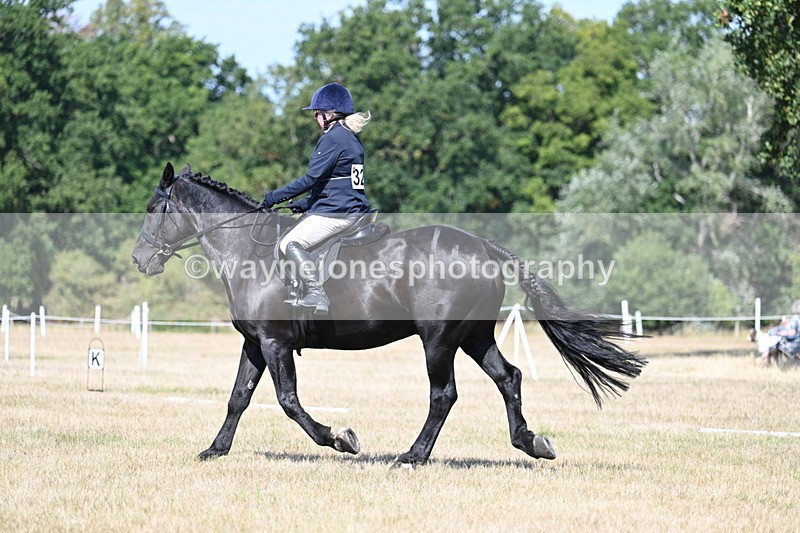 WJ7_9907 - Time 11:03 to 11:28