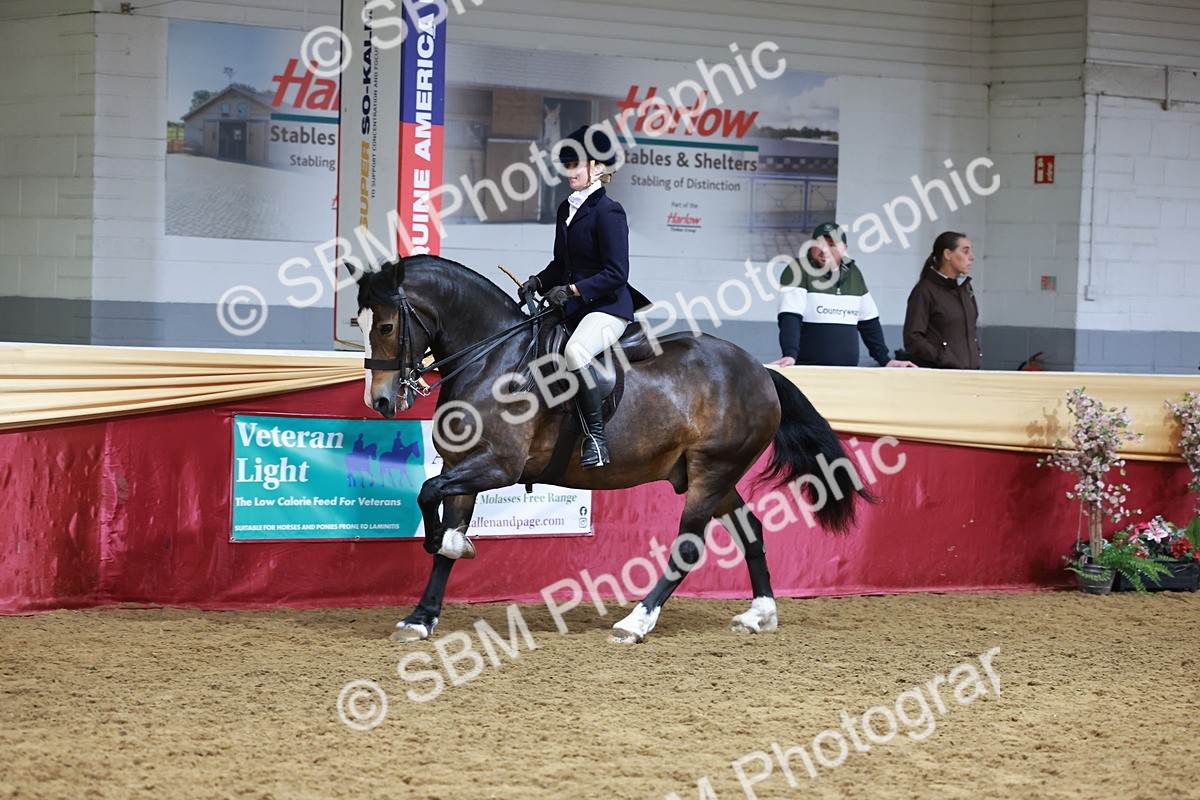 SBM_18584 - Class 952 - M&M Ridden Supreme Final