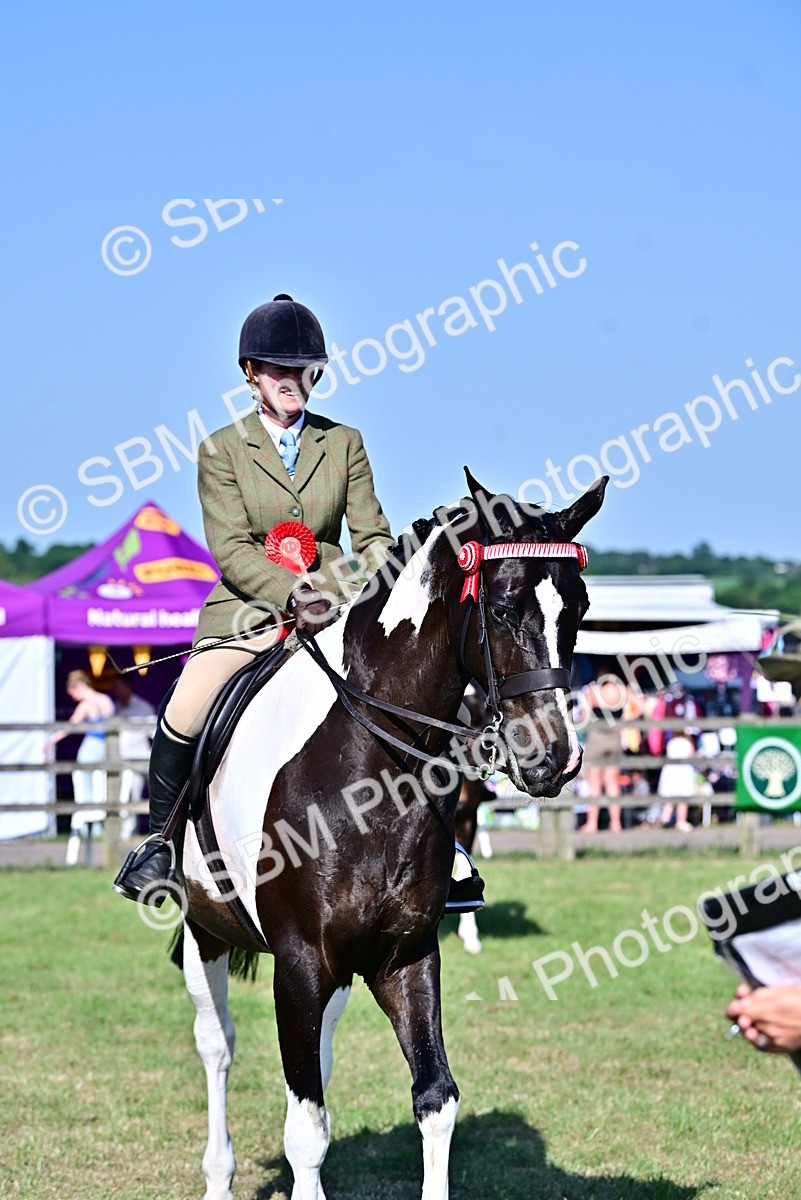 SBM_19572 - Class 101-102 - BSPS LIHS Performance Coloured Horse/Pony