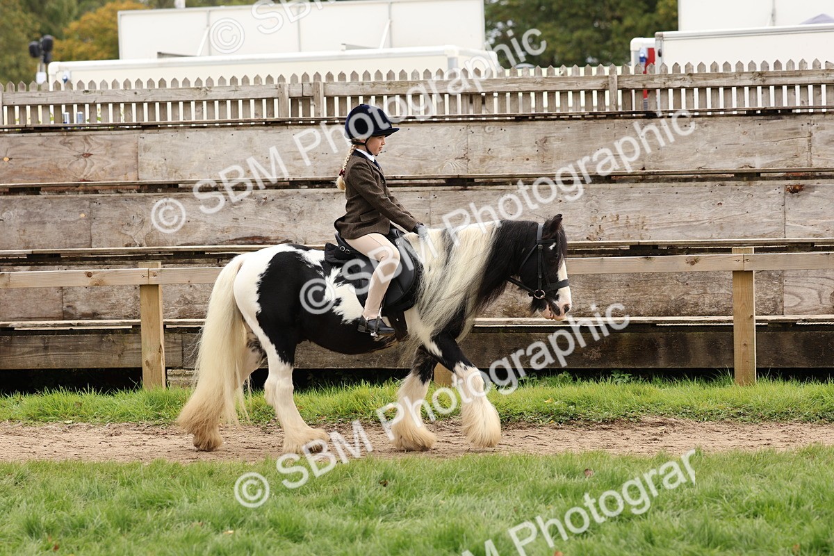 SBM_64374 - S58 - Coloured Pony Ridden