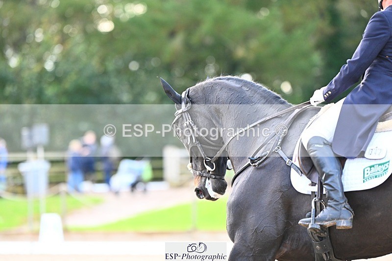 231021-143905-17893 - 342-STORM.IN.DECEMBER-Claire.Fielding-DR