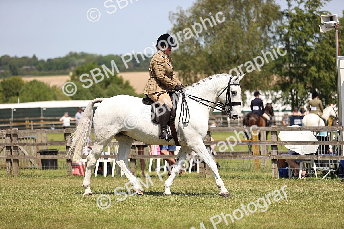 SBM_16143 - Class 79-80 - LIHS BSHA Rising Star Ridden Hunter