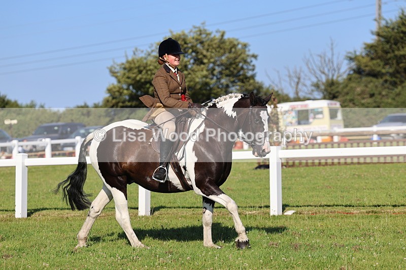 IMG_1410 - Class 28: Ridden Plaited Coloured Pony