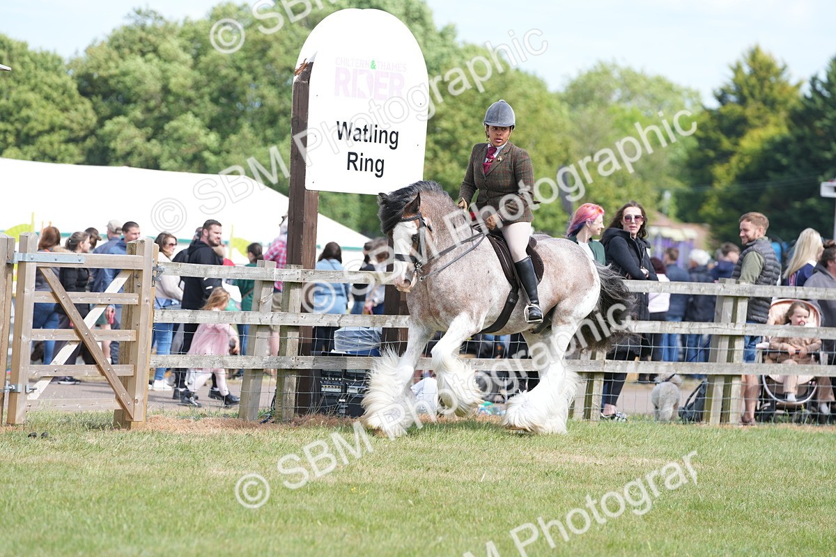 SBM_17145 - Class 107-108 - LIHS BSPS Performance Coloured Horse Pony