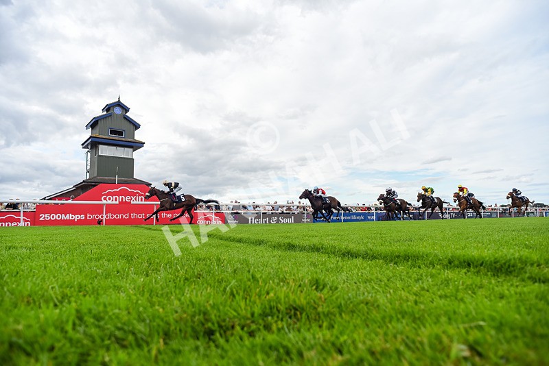 050725-Race 7-Dollys Delight-5608 - Race 7